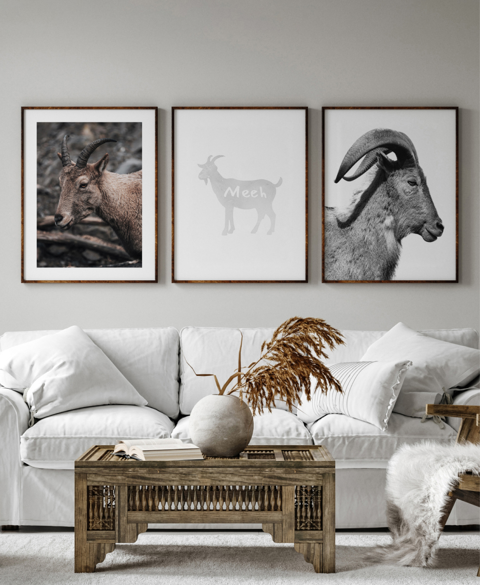 Nástěnná galerie Goats | Plakater.store